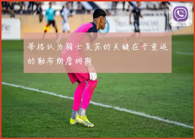 蒂格认为骑士复苏的关键在于重返的勒布朗詹姆斯